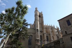 narb_horiz-4
